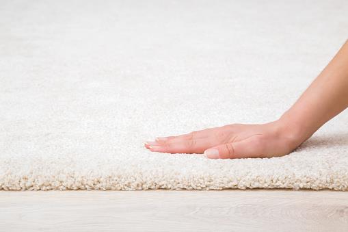 Fear to Clean the Carpets with Chemicals? Here’s the Solution.