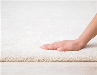 Fear to Clean the Carpets with Chemicals? Here’s the Solution.