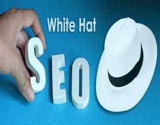 Top 5 White Hat SEO Techniques to Double Organic Traffic