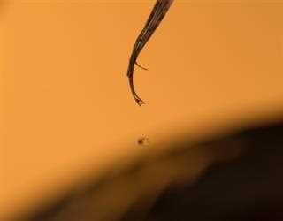 Treatments for Thinning Hair