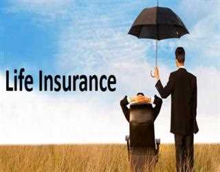 Top 7 Reasons Why You Should Buy Life Insurance