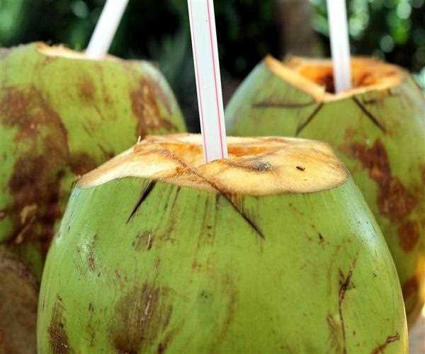 Benefits of having Coconut Water in Pregnancy
