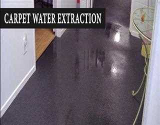 Myths That You Need to Know About Carpet Flood Damage Restoration image