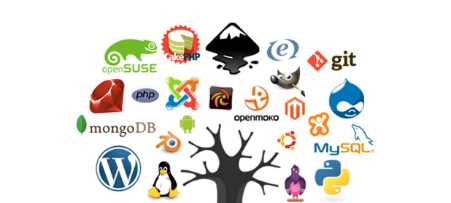 Open Source Software: Benefits, Risks, and Best Practices