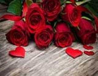 VALENTINE ROSES: THE LANGUAGE OF LOVE THAT THEY SPEAK