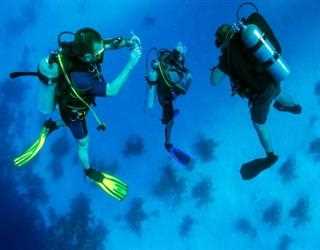 The Intended Potential Benefits Of Scuba Diving!
