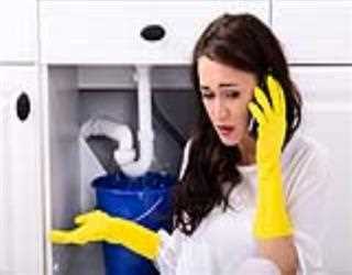 I've Tried Them All, The Only Plumber I Can Count On