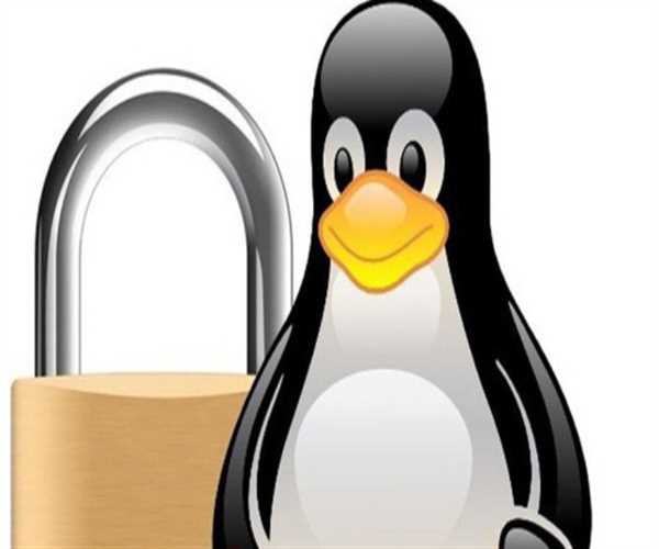 Security in a Linux Environment: Navigating its Crucial Importance