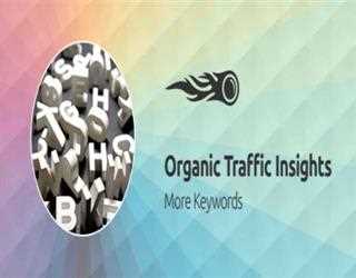 Importance of organic traffic