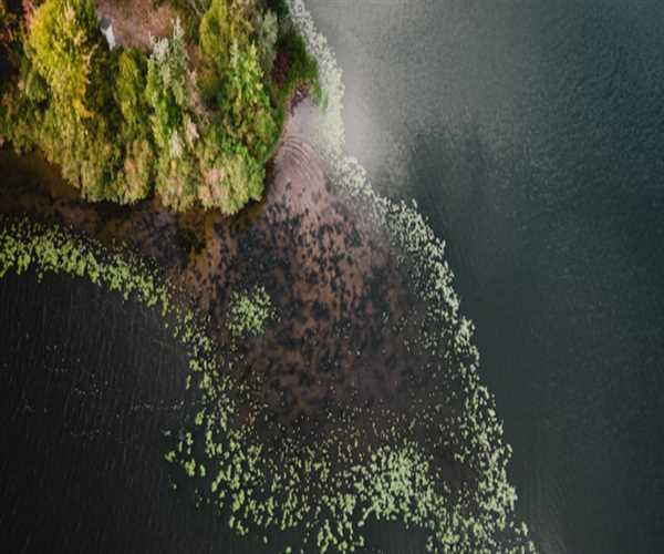 TFS and Git Integration: Leveraging Git Repositories within the TFS Ecosystem