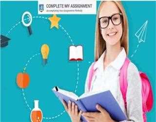 Do Plagiarism Free Assignment for me