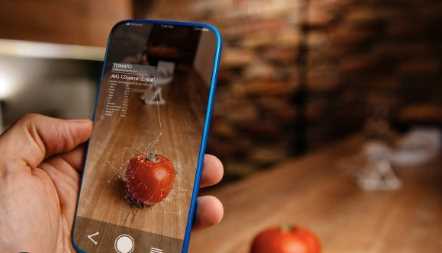 Importance of calculus in machine learning