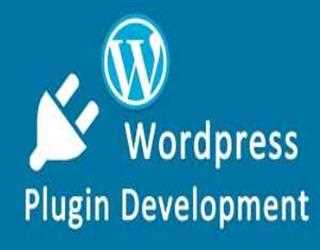 5 Steps To Create An Ideal WordPress Plugin Development Workflow