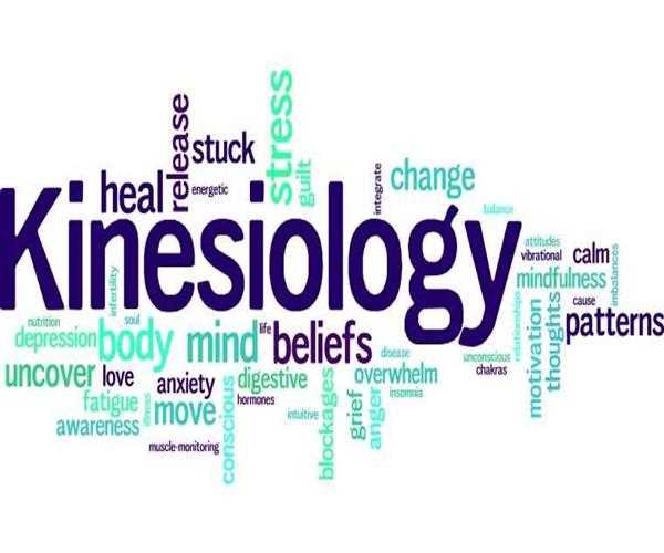 Program Overview for Bachelor’s Degree in Kinesiology MindStick