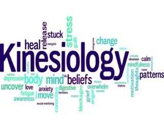 Program Overview for Bachelor’s Degree in Kinesiology