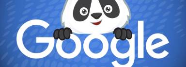 A Complete Guide to the Google Panda Update