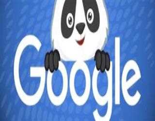 A Complete Guide to the Google Panda Update