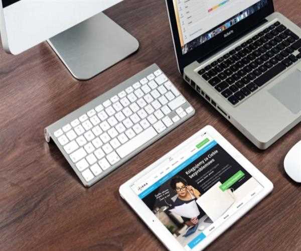 The Rise of Low-Code and No-Code Tools in Web Development