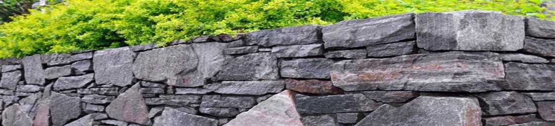 banner image of jack roger