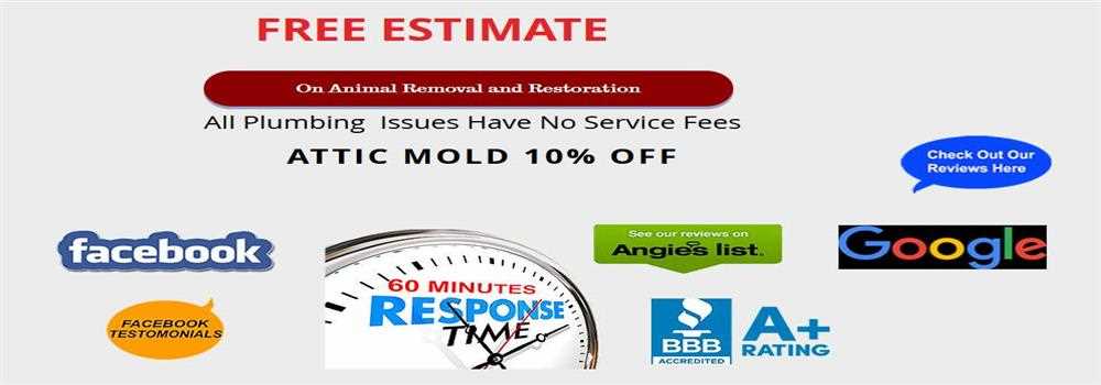 banner image of accuratewfr accuratewfr