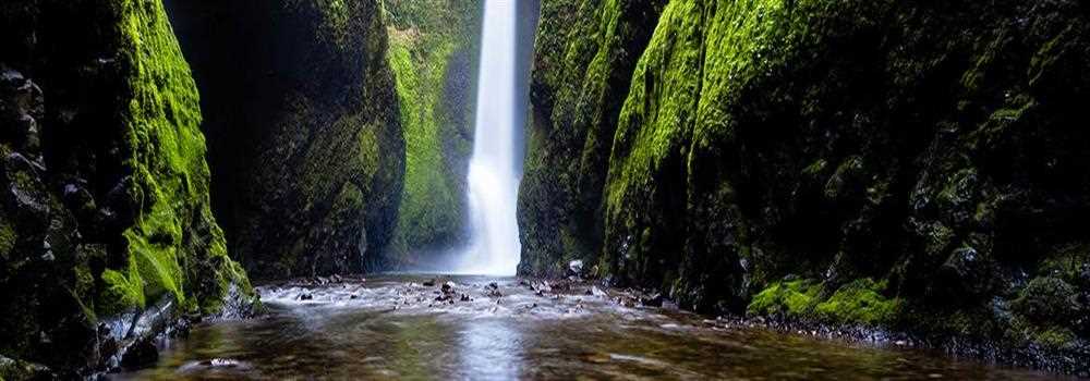 banner image of Viti Gupta