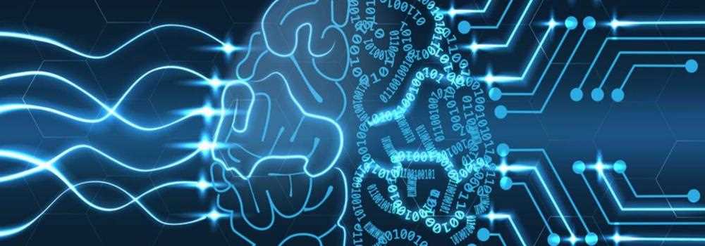 banner image of Vikas Kumar