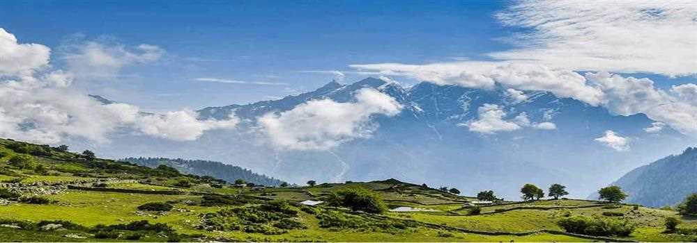 banner image of Vanshika Sharma