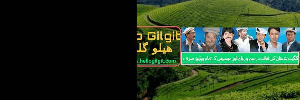 banner image of Ahmed Aly SH