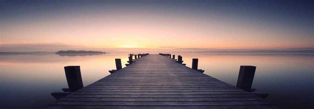 banner image of Cait Fields