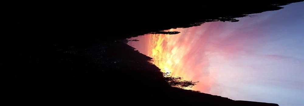 banner image of Guramrit Kaur