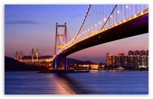 banner image of Nancee Slone