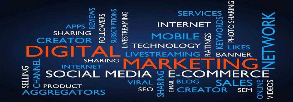 banner image of Halston Hallie