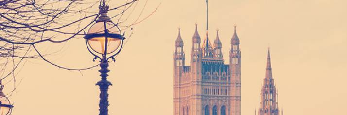 banner image of Mohammad Jeeshan