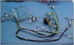 banner image of Victor Neagoe