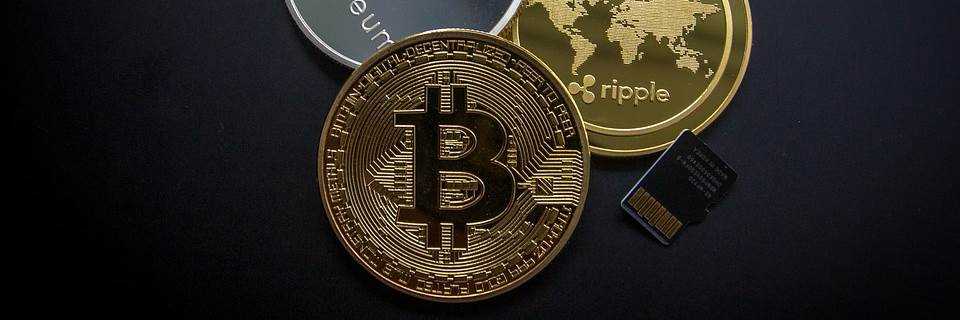 banner image of Ben & Co. Ben Jonas