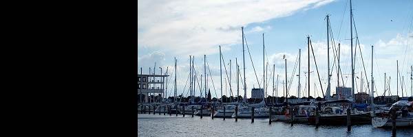 banner image of Low Associate