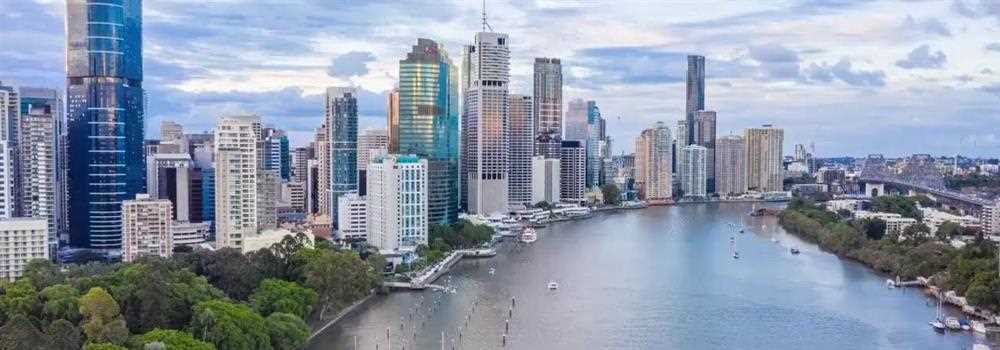 banner image of King Kongtent King Kongtent