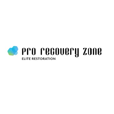 banner image of Pro Recovery Zone Pro Recovery Zone