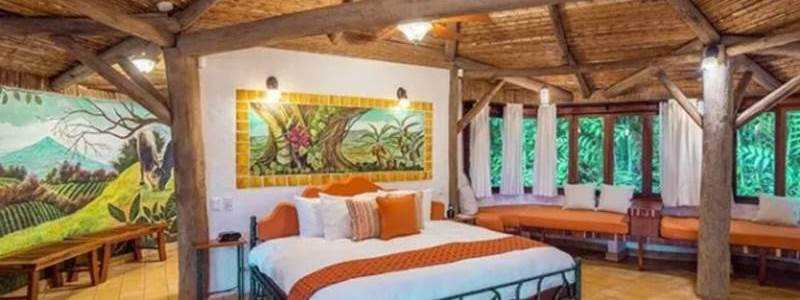 banner image of Finca Rosa Blanca