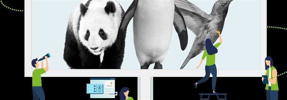 banner image of saveasweb 