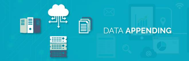 banner image of Email Append Services 