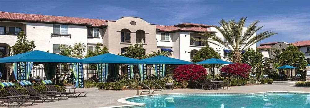 banner image of Katie Leslove