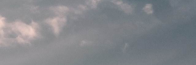 banner image of Nancy Perry