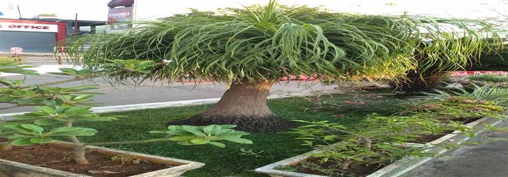 banner image of Ravi Kiran Muvvala