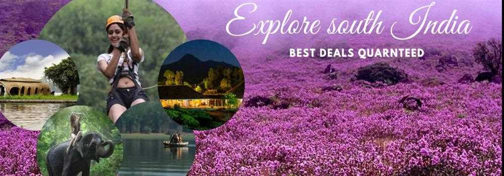 banner image of Tour Wild