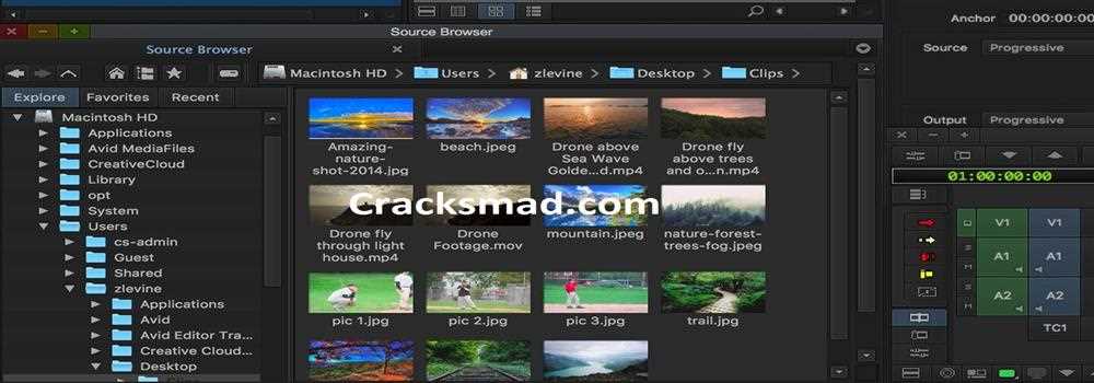 banner image of ali hassan