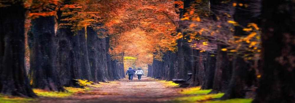 banner image of Almard Marshal