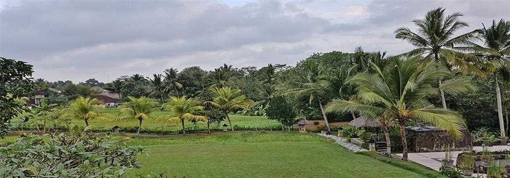 banner image of Javaid Hassan