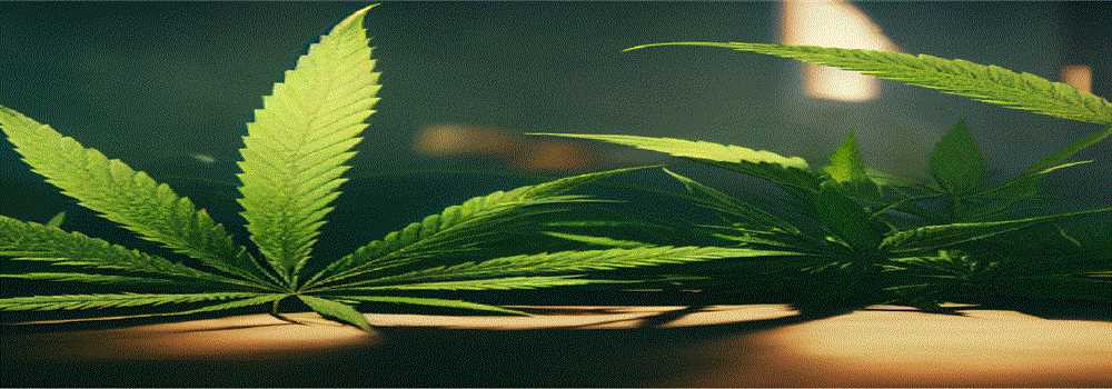 banner image of Ok Wellness Centers 