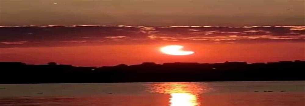 banner image of Reem 